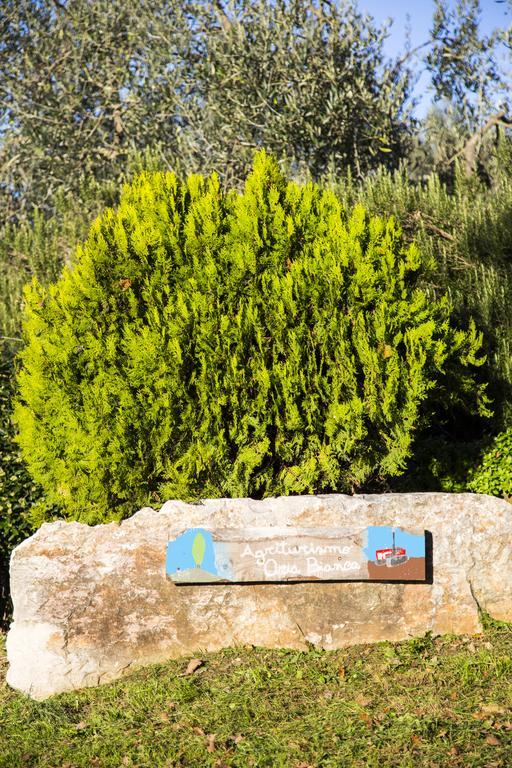 Agriturismo Oria Bianca Βίλα San Quirico dʼOrcia Εξωτερικό φωτογραφία